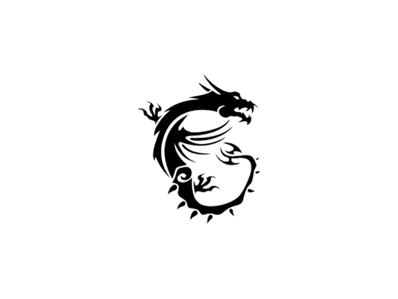 MSI
