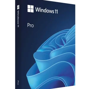 Windows 11 Pro License