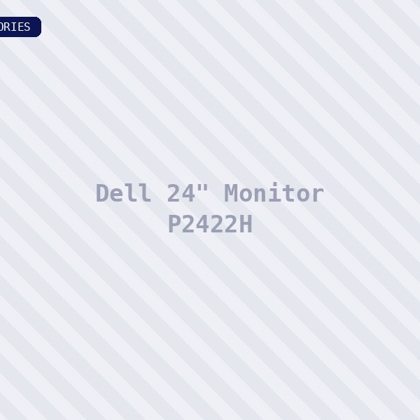 Dell 24" Monitor P2422H